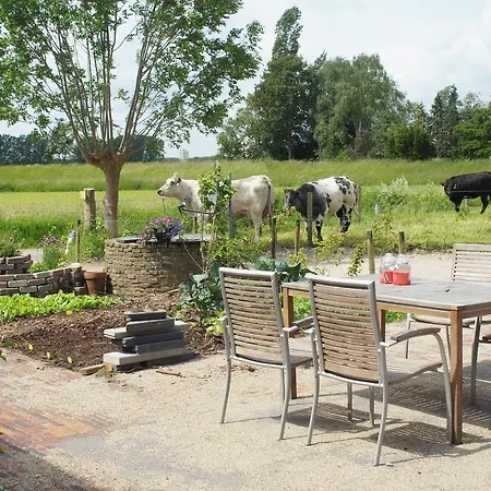 Bed & Breakfast De Bosakker