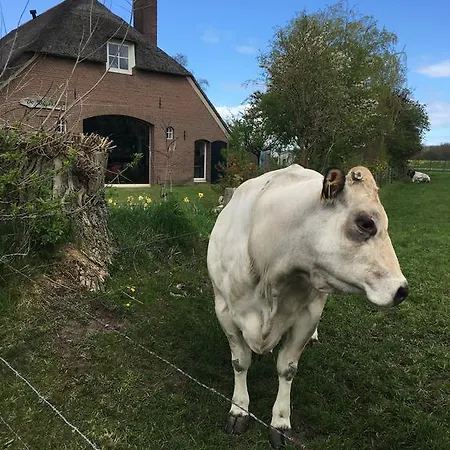 Bed & Breakfast De Bosakker