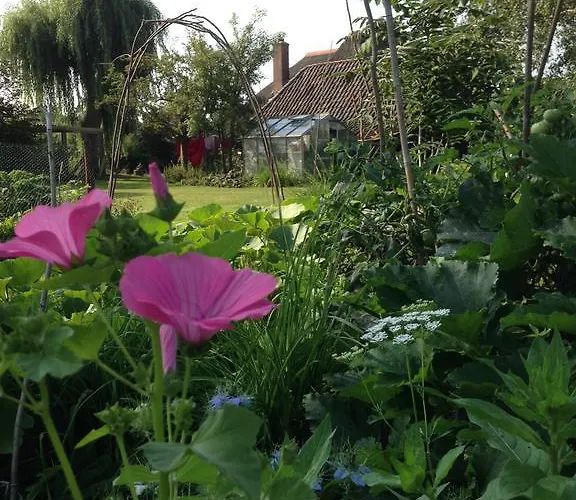 De Bosakker Pensjonat Epse