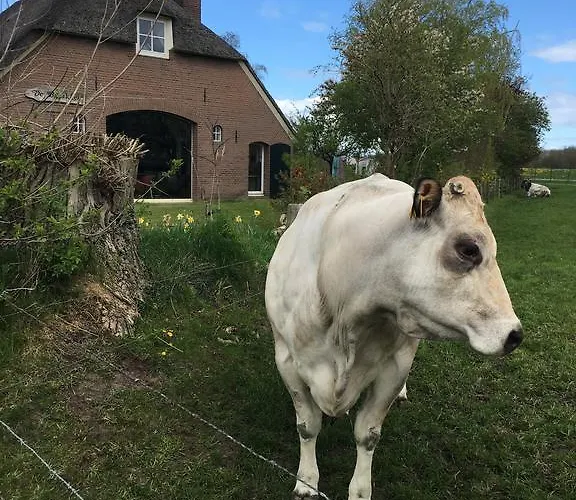 Pensjonat De Bosakker