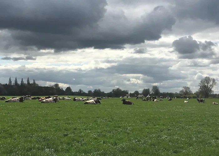 Pensjonat De Bosakker