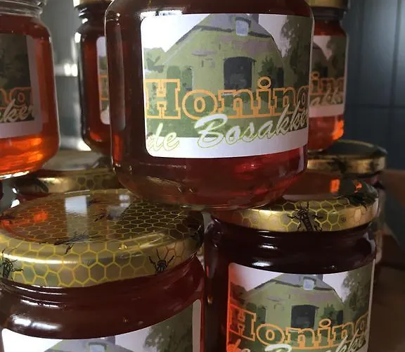 Pensjonat De Bosakker