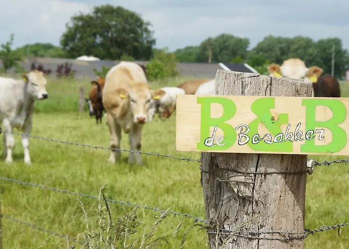 De Bosakker Penzion 4*